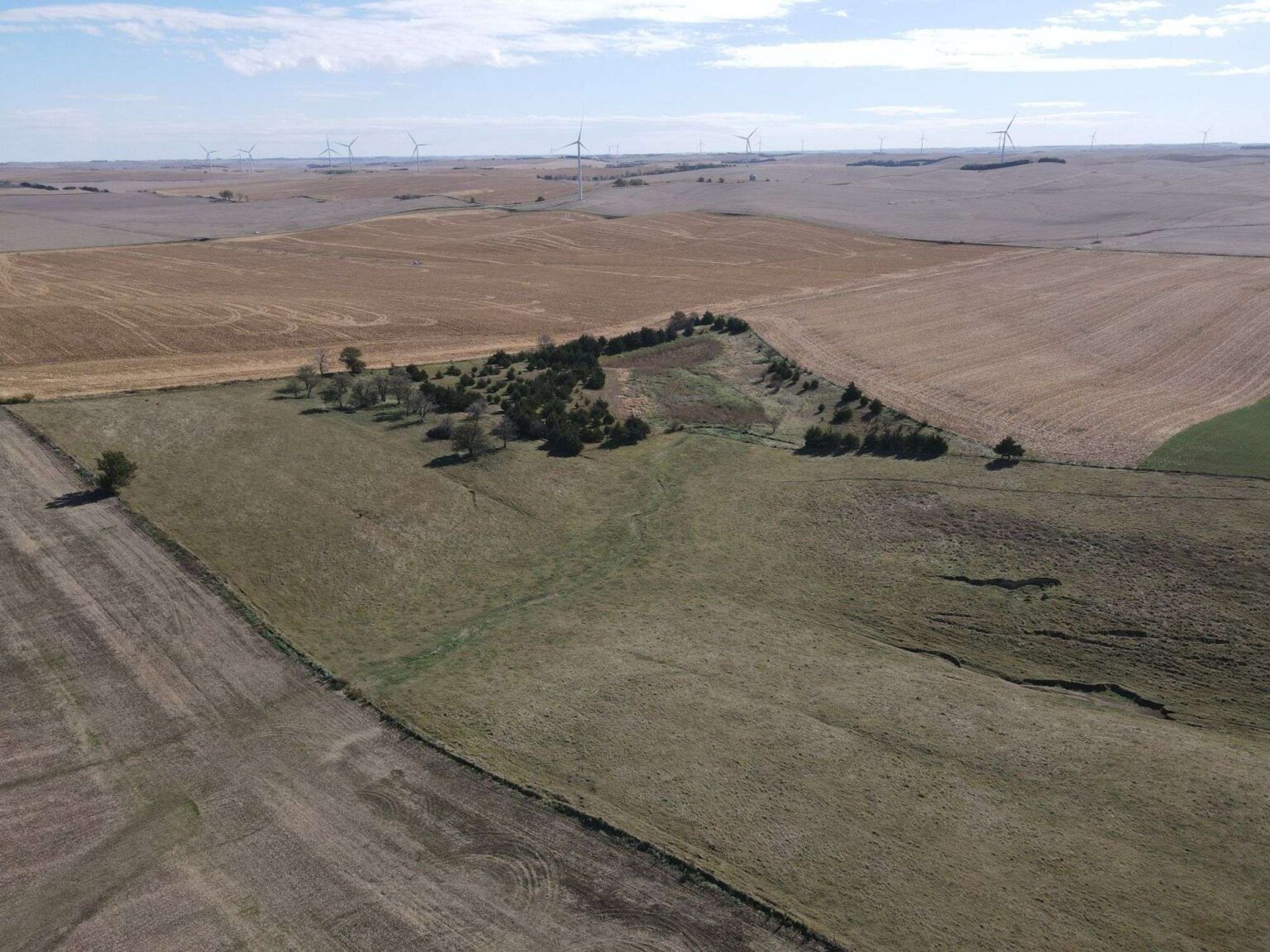 Boone County Farm & Pasture