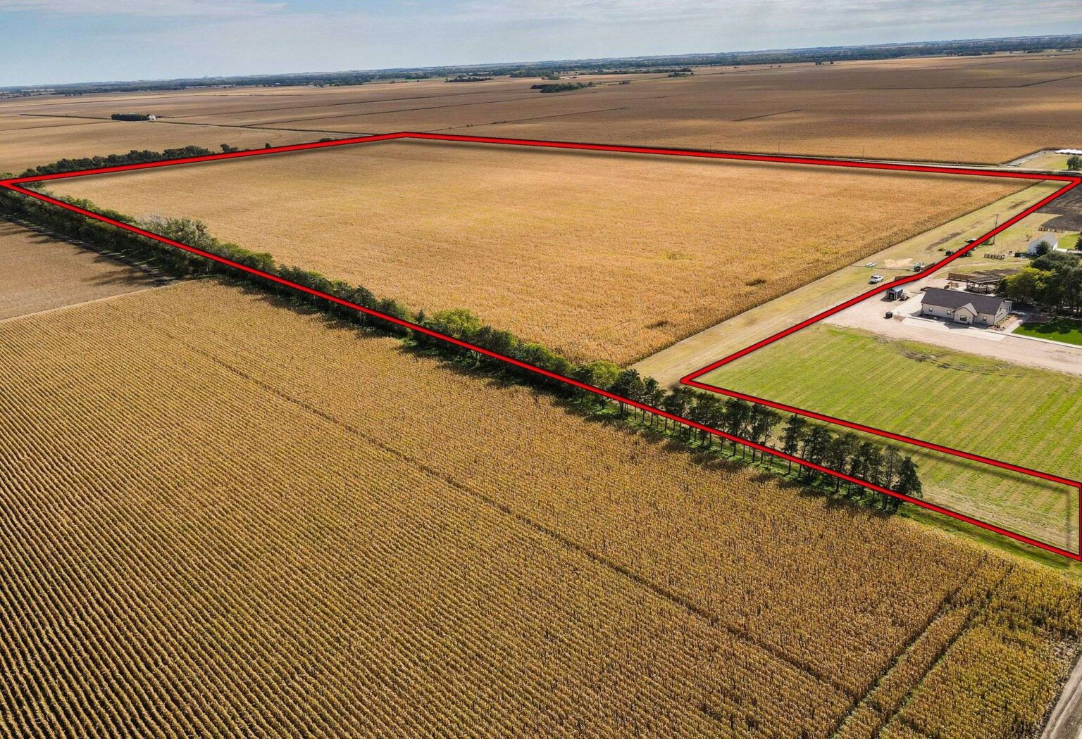 Buffalo County Drip Tape Farm