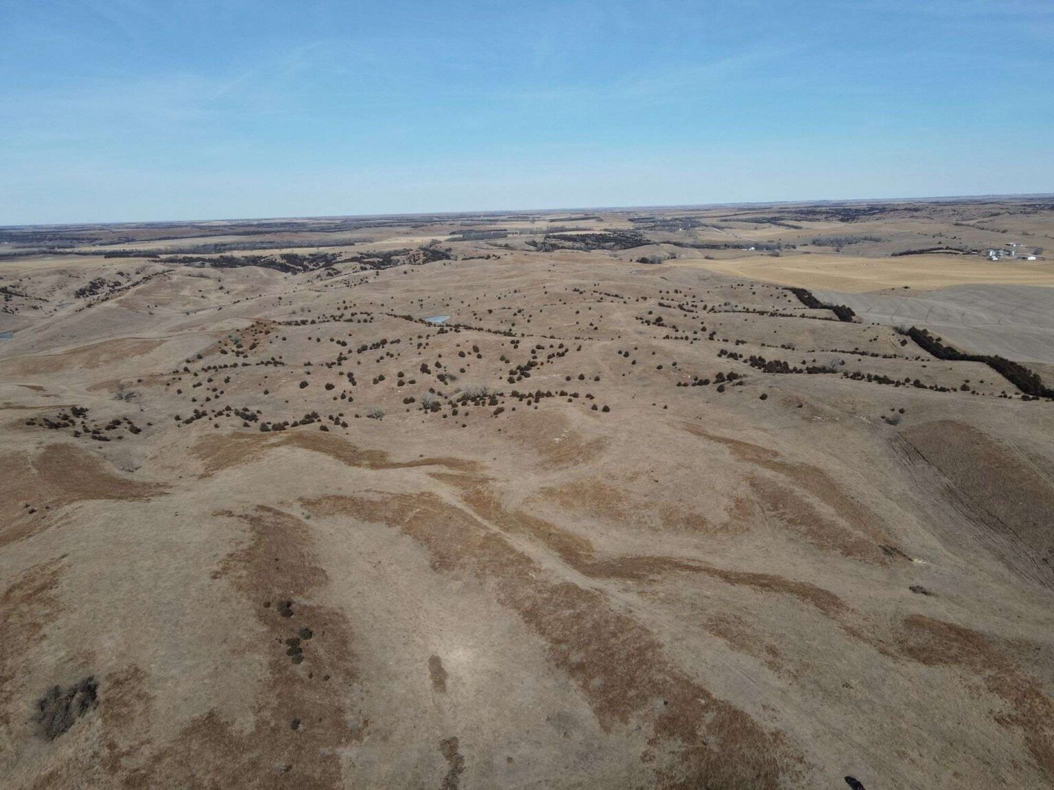 Greeley County Pasture