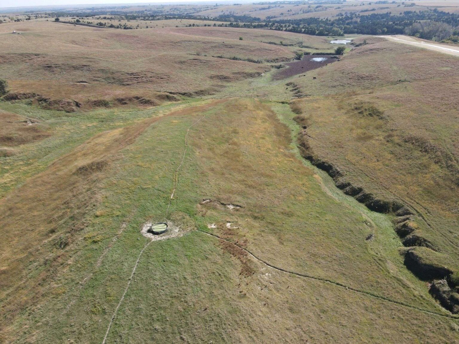 Howard County Pasture