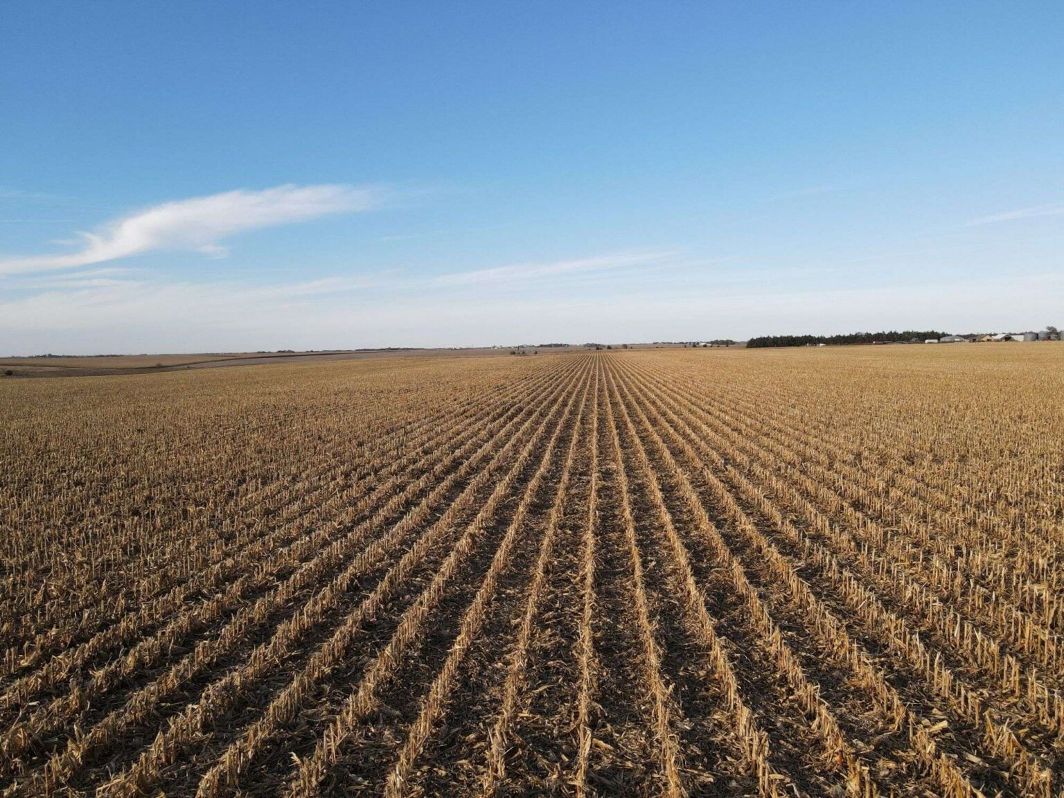 Richter Pivot Irrigated Farm