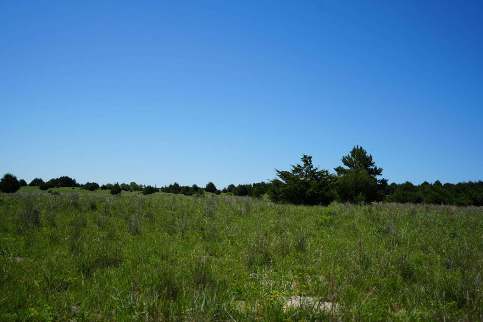 Niobrara River Frontage