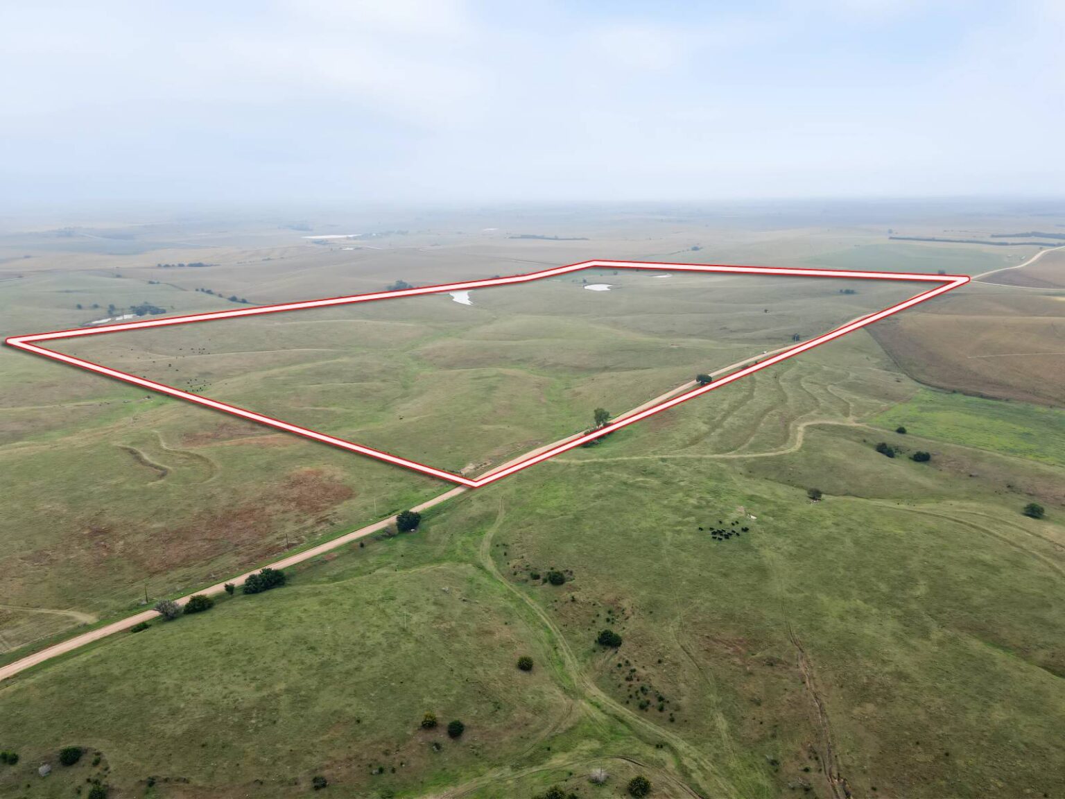 Paitz Pasture – Buffalo County 238 Acres