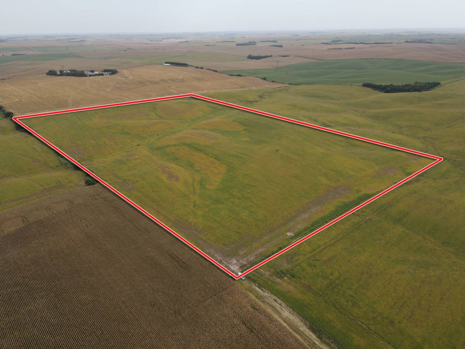 Absolute Online Land Auction – November 10th – Boone County 60.16 Acres